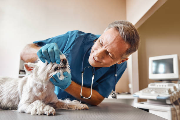 Best After-Hours Dental Care in Luling, TX
